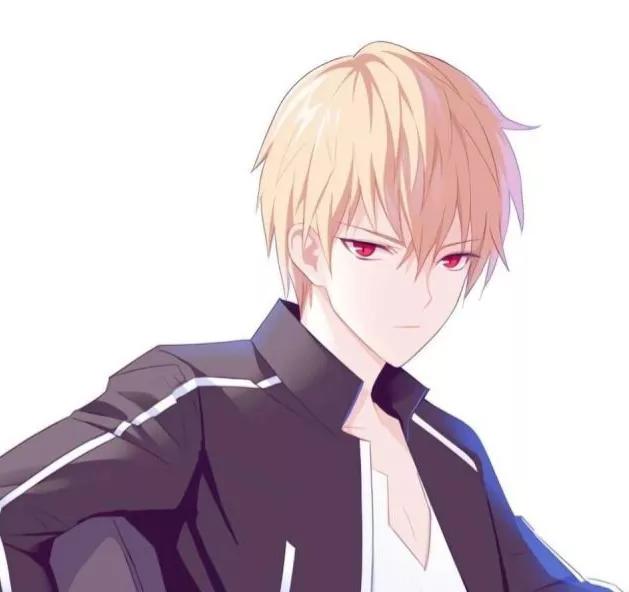 三本值得熬夜观看的高分完结小说,三本最新完结的高分小说