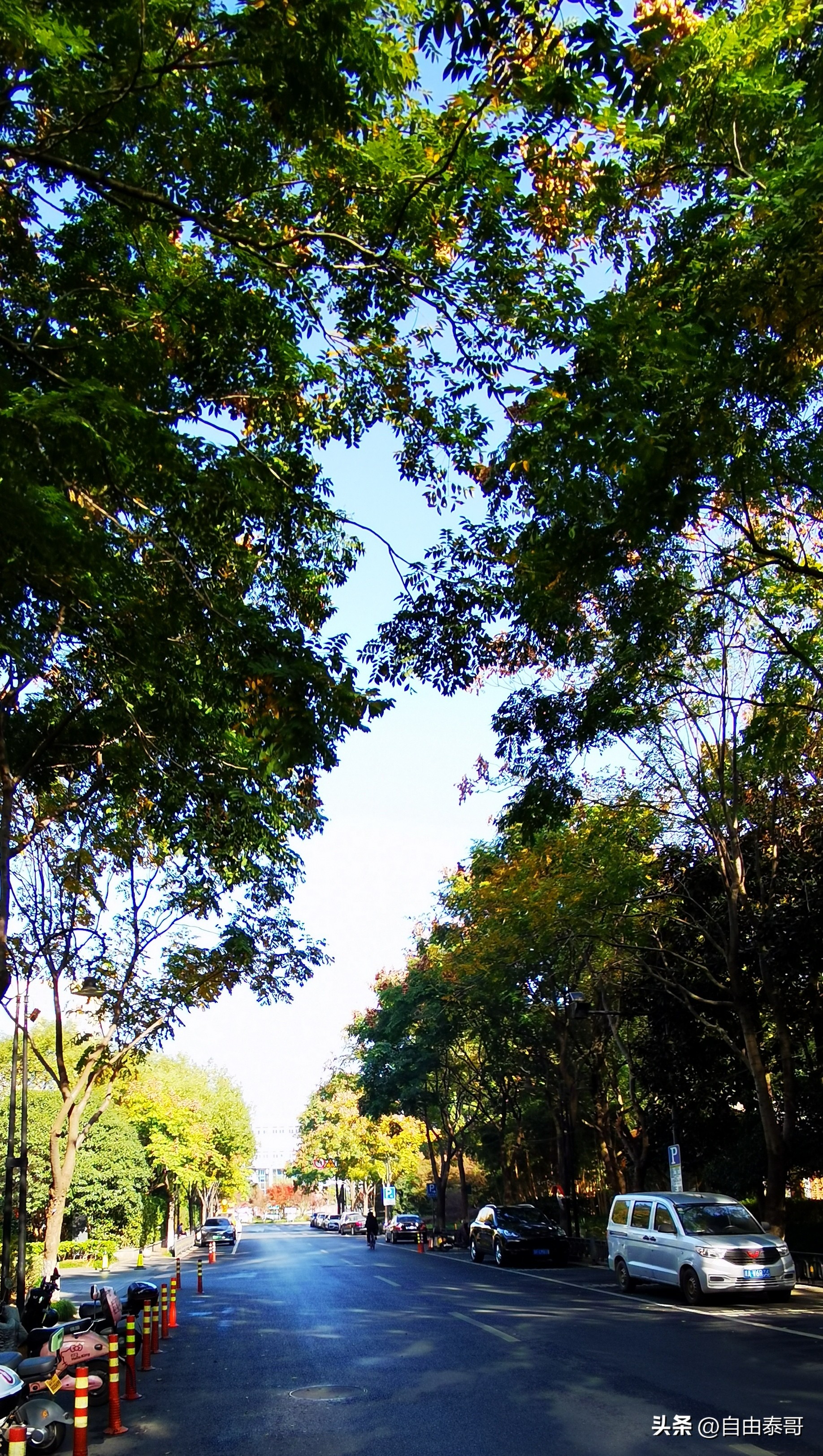 临平最大的亲水公园,临平最好公园排名