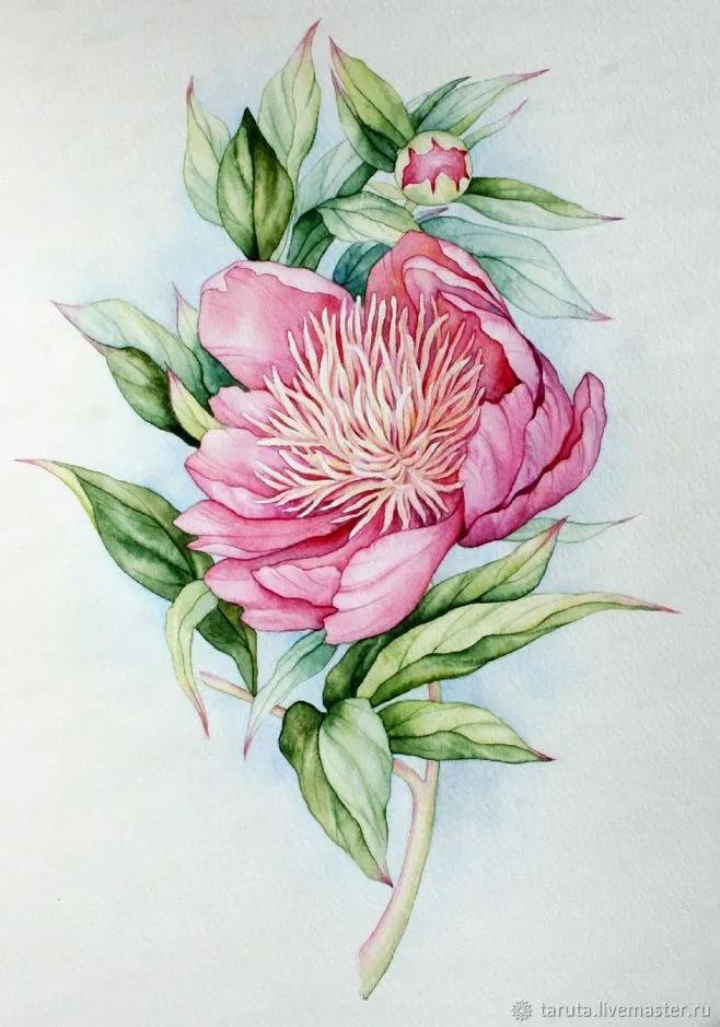 dior鏈嶈鍚勪釜鏃舵湡椋庢牸鐗瑰緛婕斿彉,dior50骞翠唬鏈嶈鐗硅壊