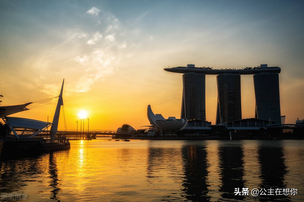 新加坡7个冷知识英文,世界上养猫最多的国家