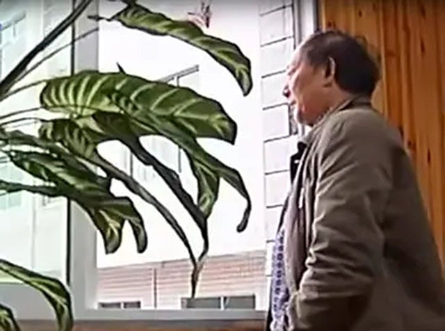 女大学生被山村老汉关猪圈17年,女大学生被关猪圈17年现状怎么样