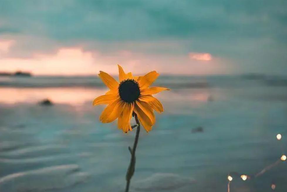 鑻ヨ浜虹敓澶劍铏戜笉濡ㄥ璇绘豹鏇剧ズ,濡傝浜虹敓澶嫙涓旇鍚庢劅