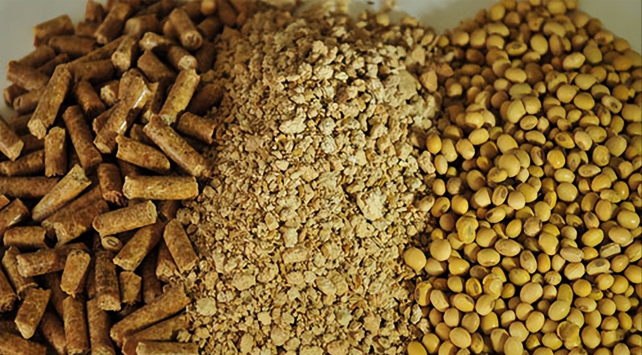 豆粕减量替代利好中粮科技,豆粕减量替代利好什么公司