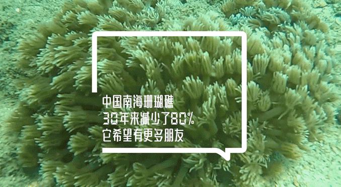 最好看的朋友圈封面,高逼格朋友圈封面