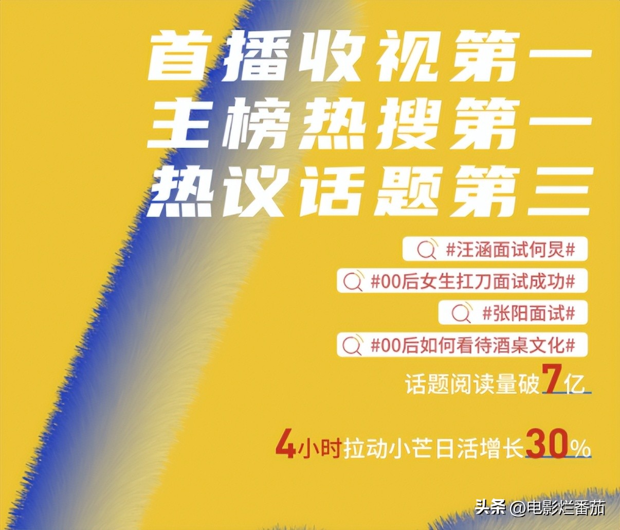 芒果台的职场节目,芒果台百万年薪