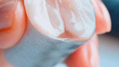 日式碳烤青花鱼做法,干煎小金枪鱼