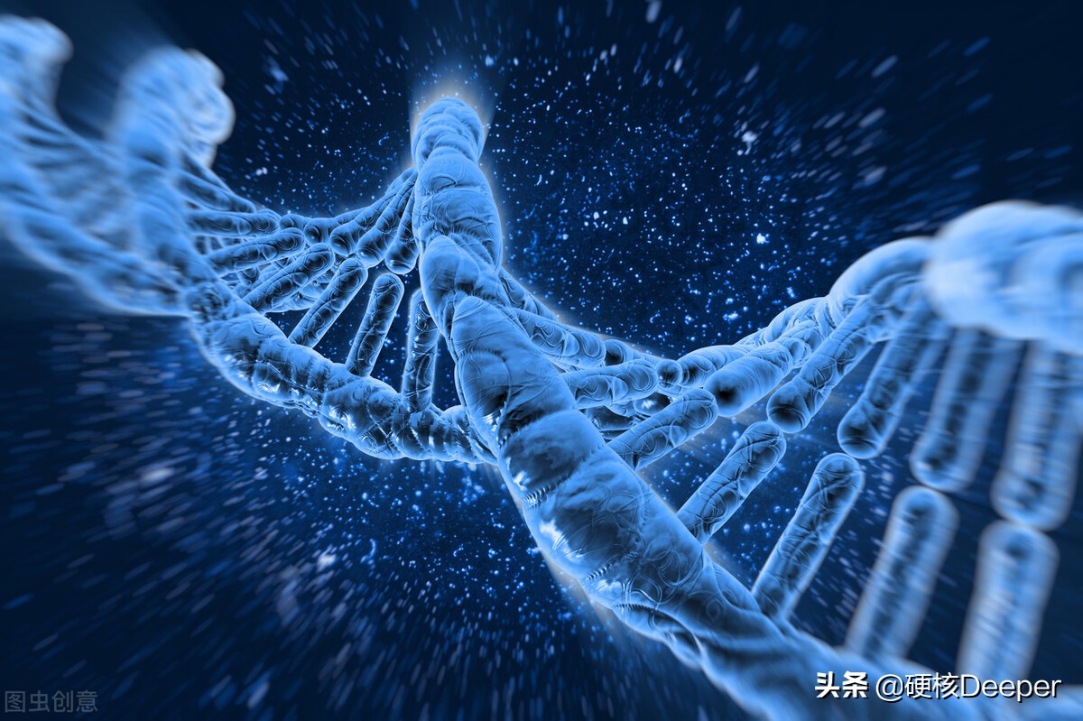 为什么人类分娩比其他动物更痛苦,动物分娩和人类分娩是一样痛苦吗