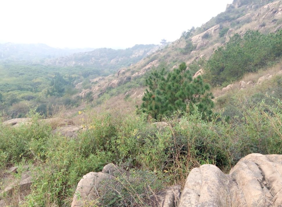 爱旅经常组织的市内登山路线，传说健康的人都去了这里......