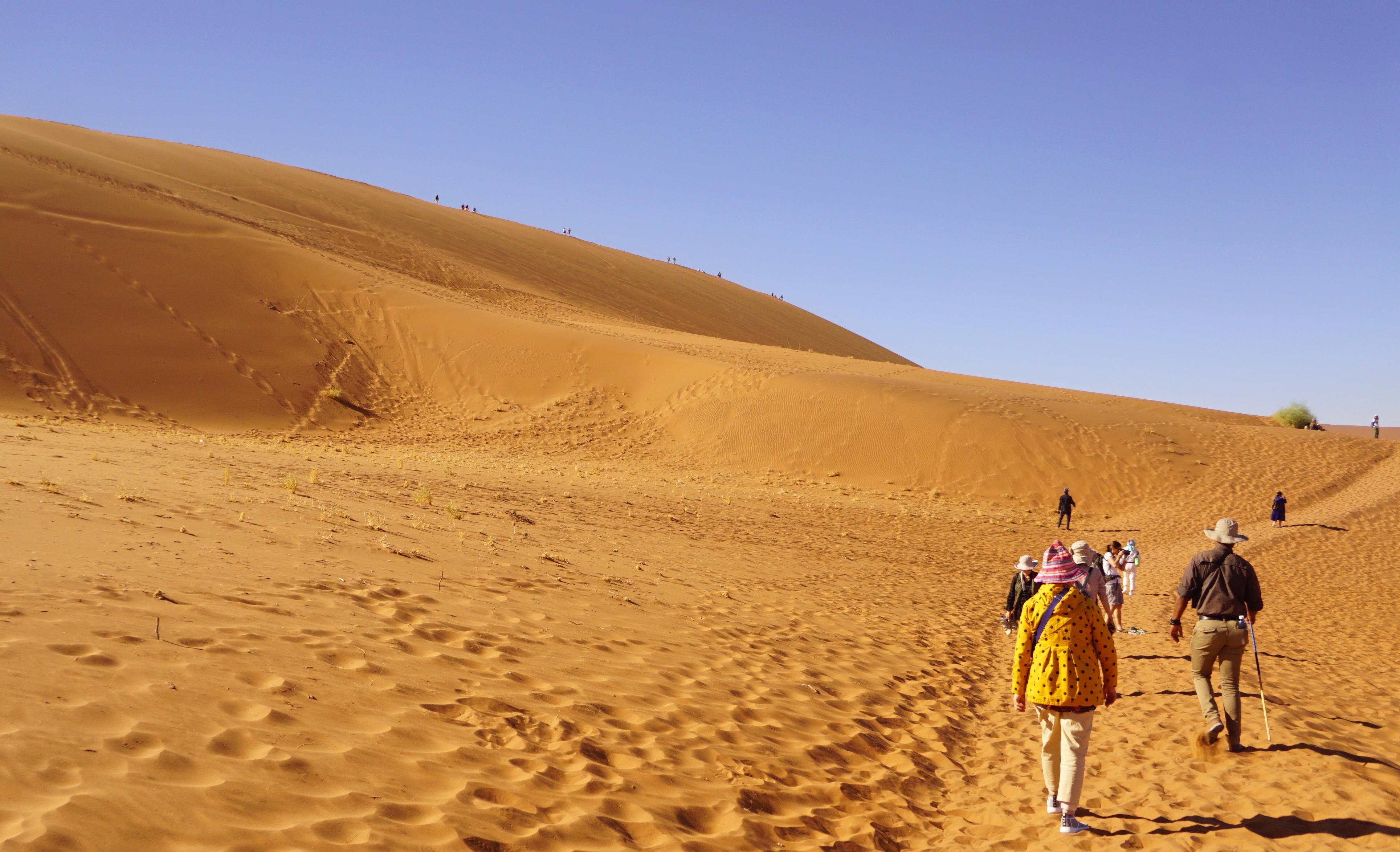 绾崇背姣斾簹绾㈣壊娌欐紶,绾崇背姣斾簹娌欐紶涔嬫梾