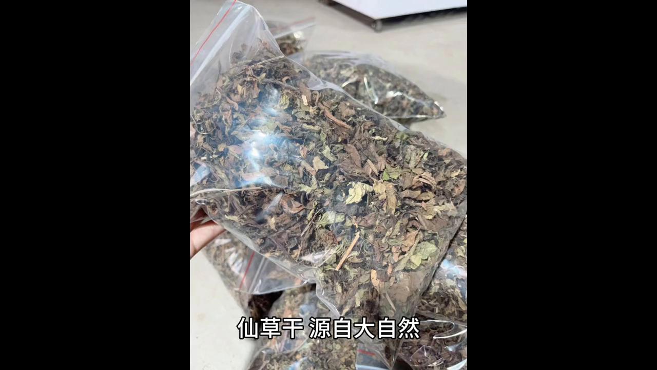仙草干茶是什么,家庭自制真正的仙草干