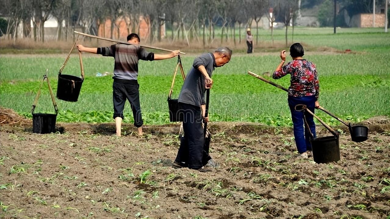 在农村怎样经营好一个家,家庭农场怎么运营需要什么手续