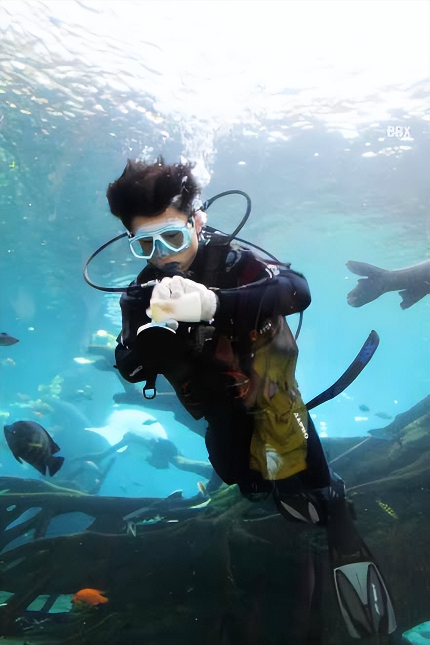 珠海长隆海洋王国水下走廊,世界级海洋乐园珠海长隆海洋王国