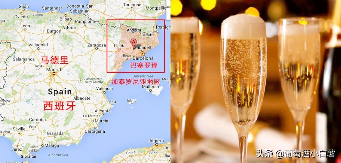 香槟酒平价好喝推荐哪款,香槟好喝排行榜