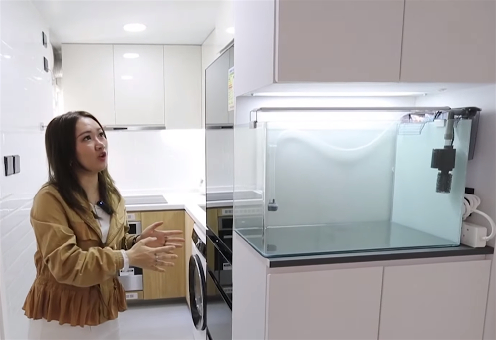 香港一对年轻情侣买房,香港90后夫妻买下35平米小家