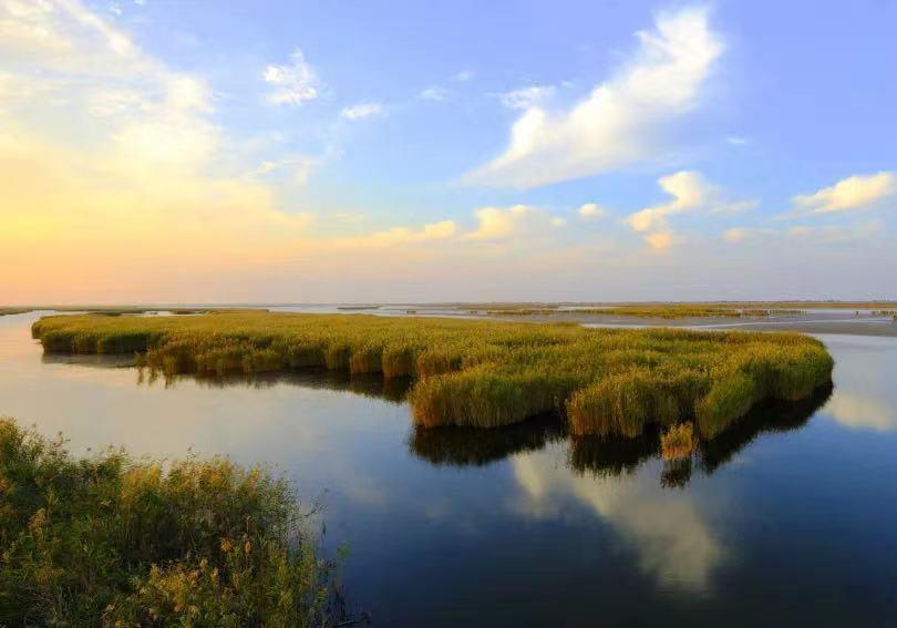东营秋季旅游攻略,秋天东营旅游攻略必玩的景点
