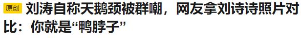 44岁刘涛变得越来越年轻了,43岁刘涛容颜耐看