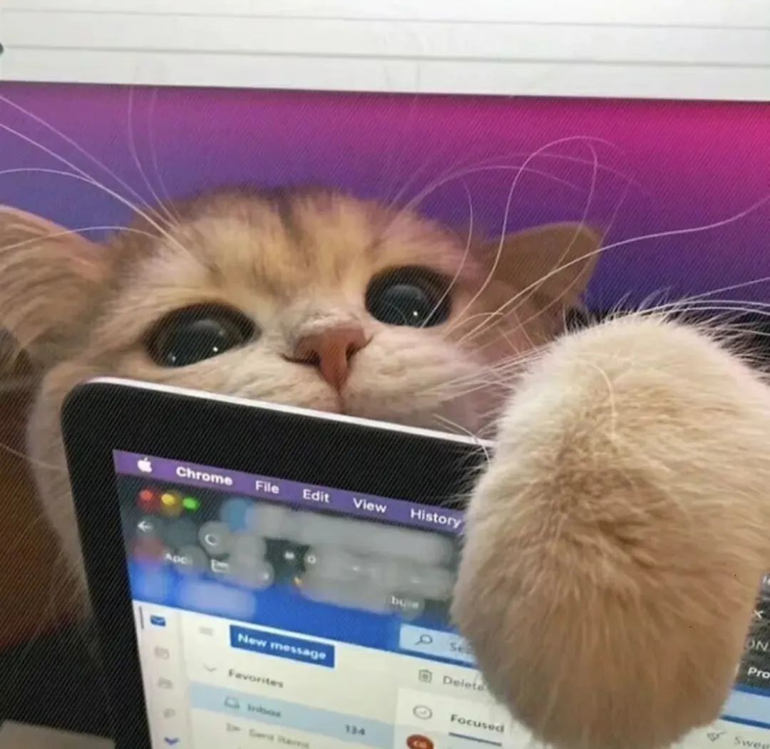 背景图小众高级,微信背景图小众高级温柔