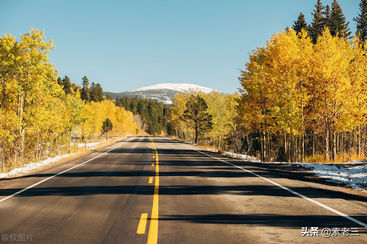 女作家去做保姆651,女作家去做保姆剧情