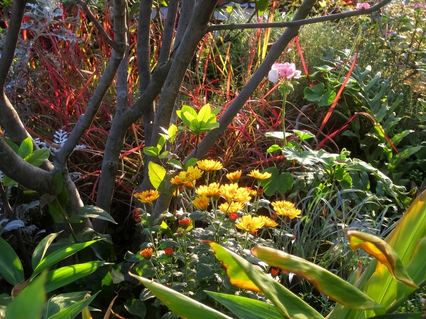 我的生活感悟4条，句句实话实说