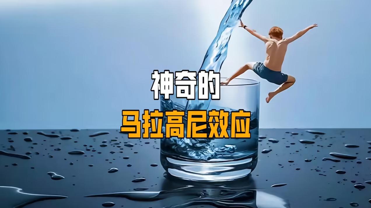 尿尿在马桶会触发马拉高尼效应吗,往开水里尿尿会发生什么