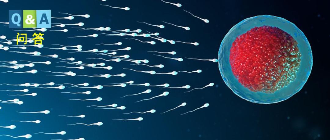 精子的产生是一个很神奇的过程,精子和卵子结合人类完全了解了吗