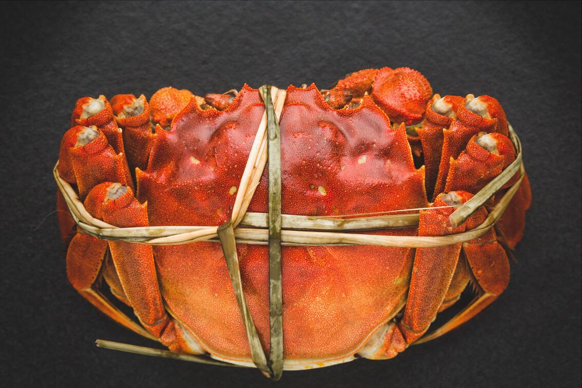 什么样的螃蟹最正宗,如何区分螃蟹的种类