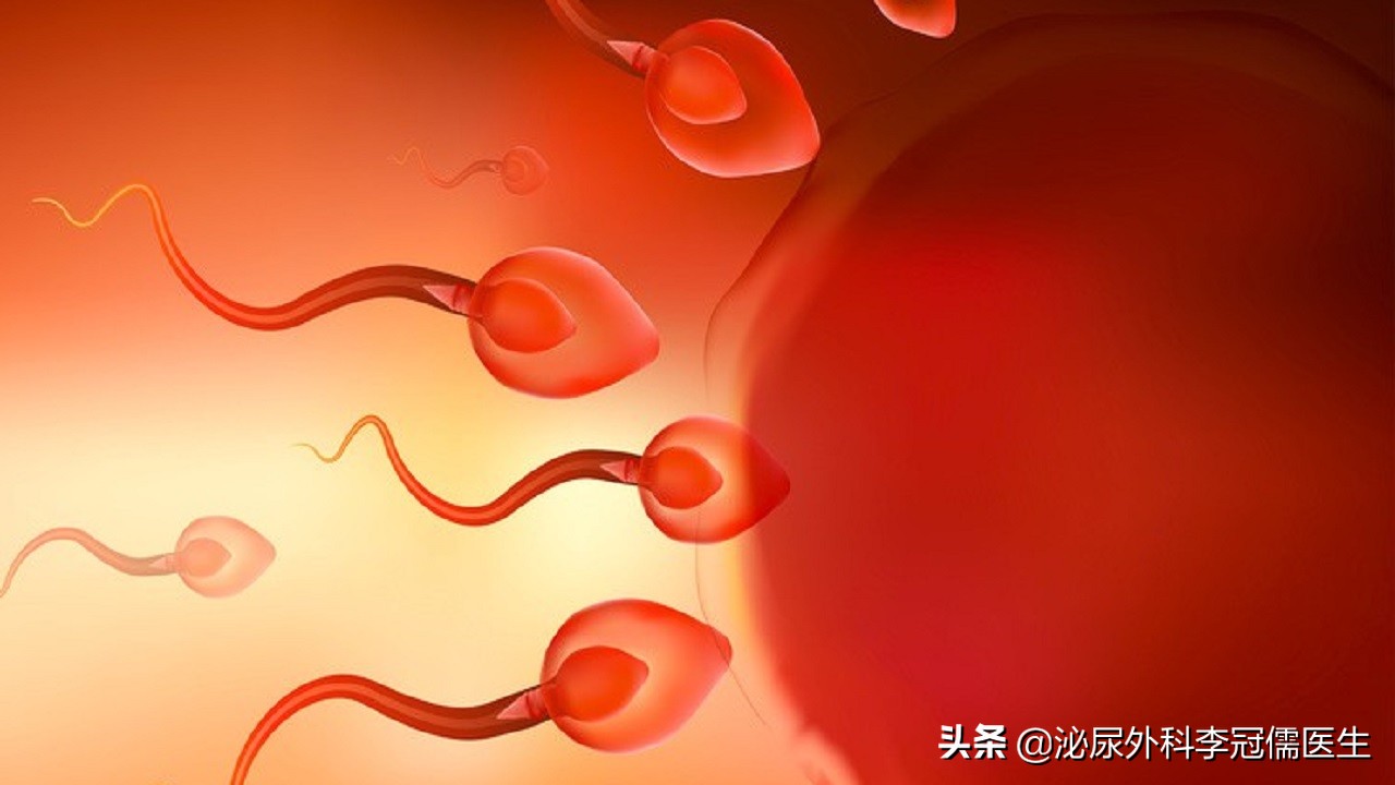 几亿个精子只有一个存活,成千上万精子
