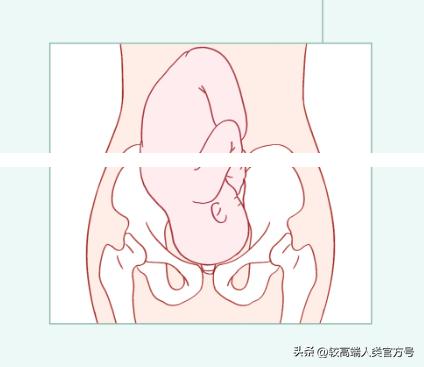 女生的身体，到底有多少不合理的东西？