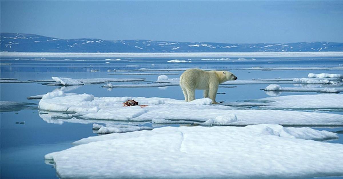 大陆架划界的自然延伸原则,北极大陆架划界的国际法问题研究