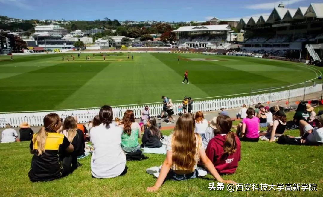 4+0双色球,4+0靠谱吗