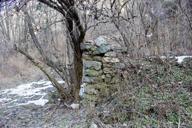 冬天寻访秦岭大峪，不但还有古道遗迹可循，还能见到这条野生广告