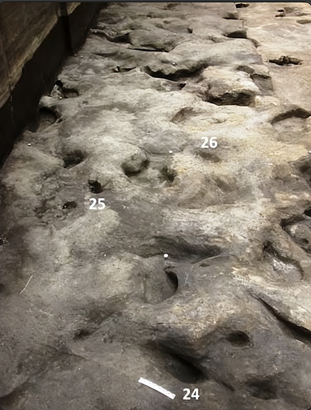 史前人类脚印大全,发现距今12万年的人类脚印