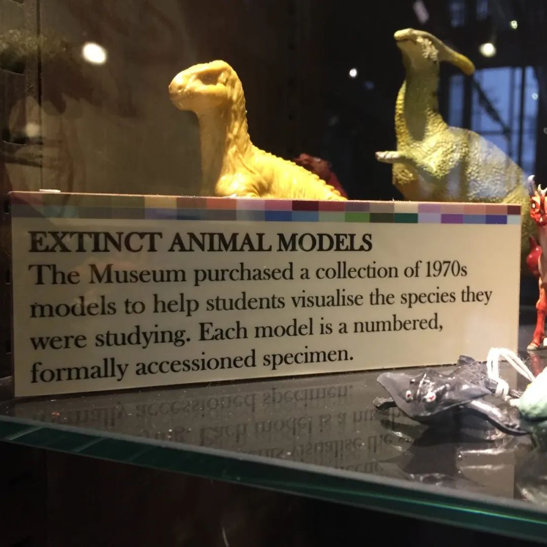 英国g5留学绿色通道,伦敦大学学院ucl好申请吗