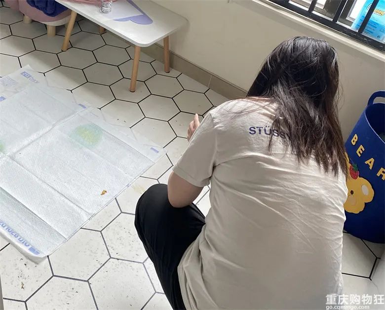 宠物博主有多赚钱,宠物博主怎么盈利