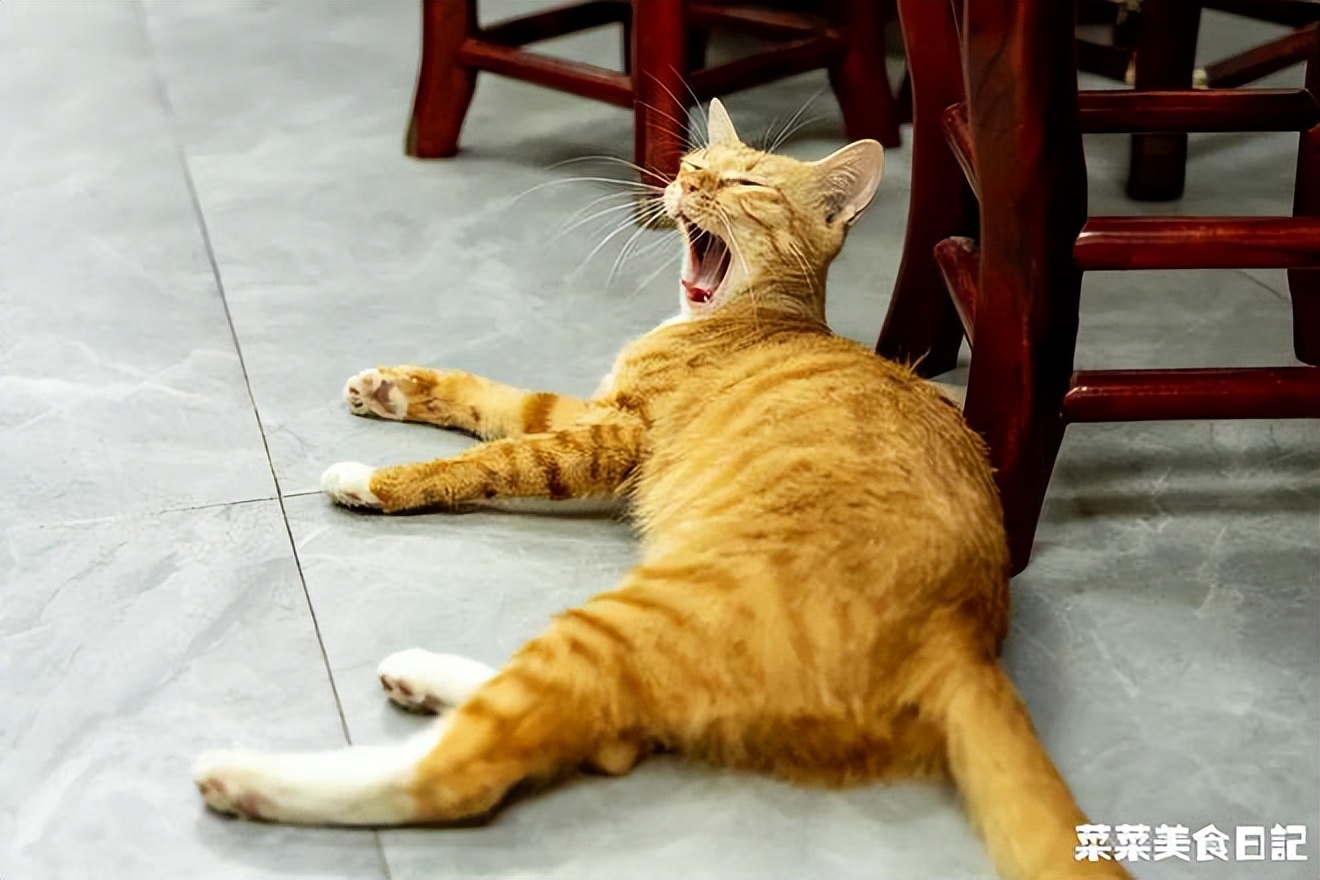 绯栨按搴楀繀鎵撳崱鏀荤暐,绯栨按搴楀浣曠粡钀ユ墠鑳戒笉浜忔湰