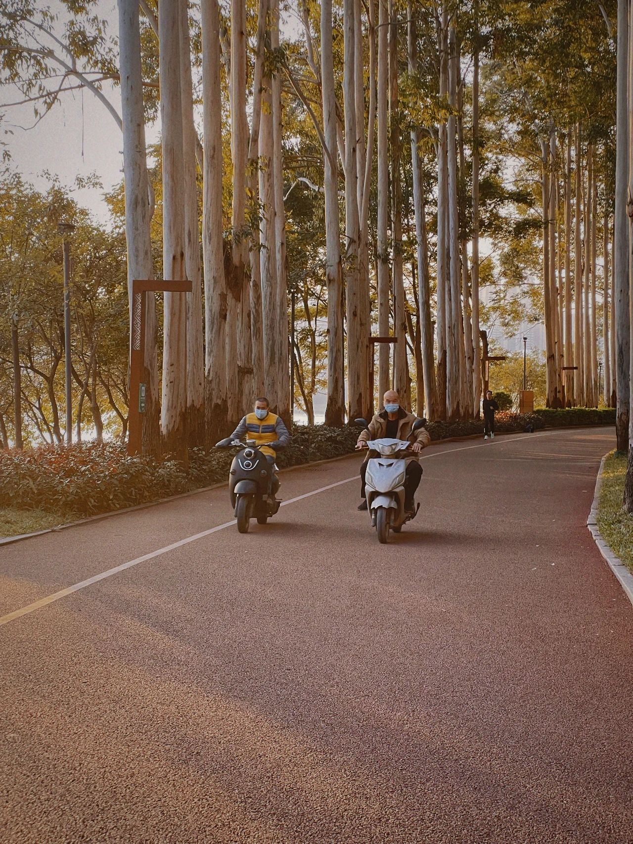 南宁柳沙是富人区吗,南宁柳沙半岛最好的小区