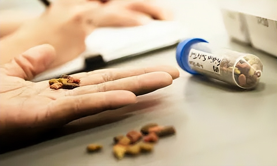 常见狗粮的科普,揭秘狗粮的真相