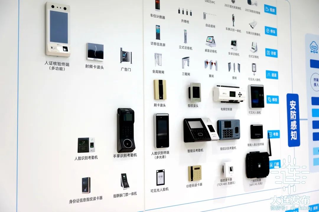 “你好，辽宁！你好，大连！”国内外网络名人、记者在这里读懂中国式现代化