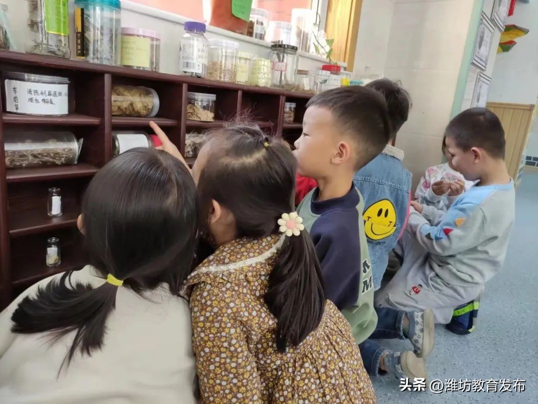 新闻周播报完整版,周播报抖音