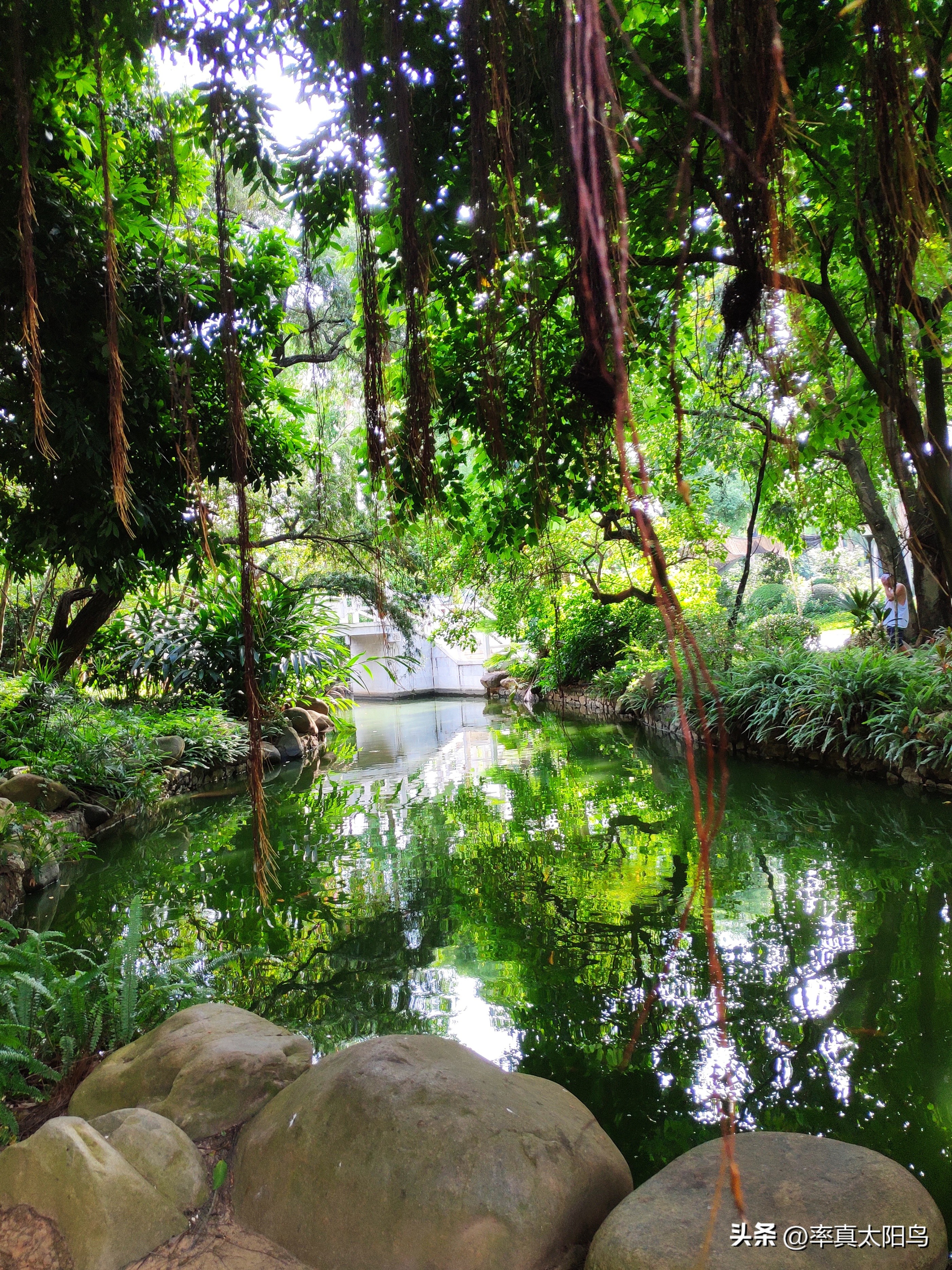 秋水之韵文章,秋水之韵抖音