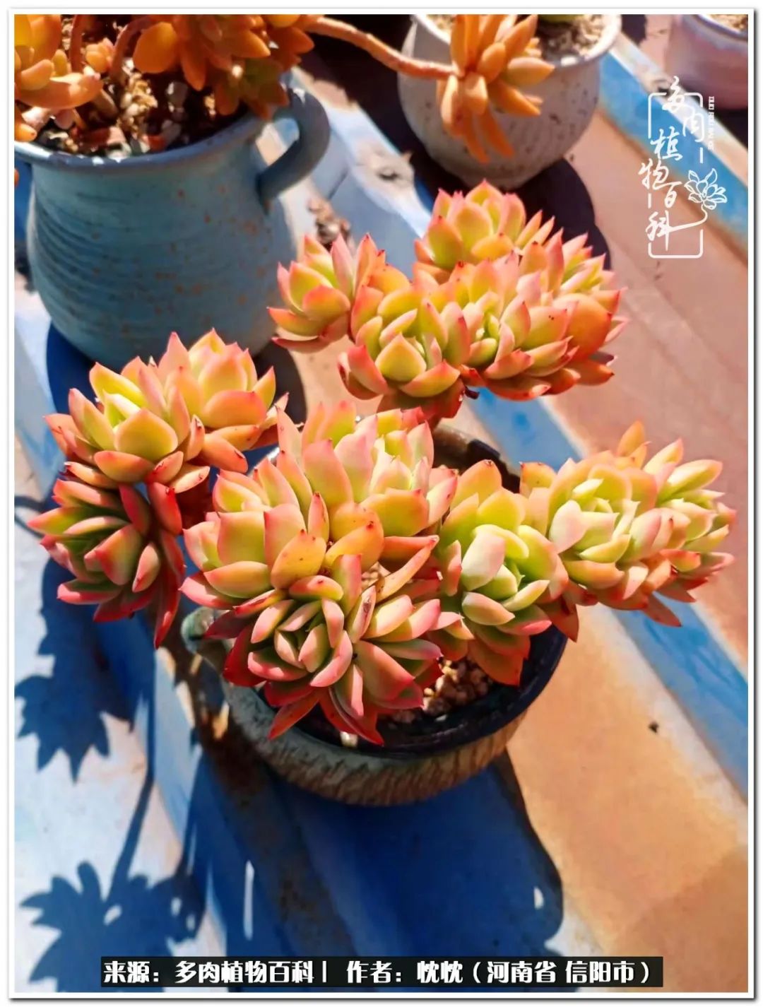 携一人白首择一城终老心之向往,携一人之手择一城终老图片