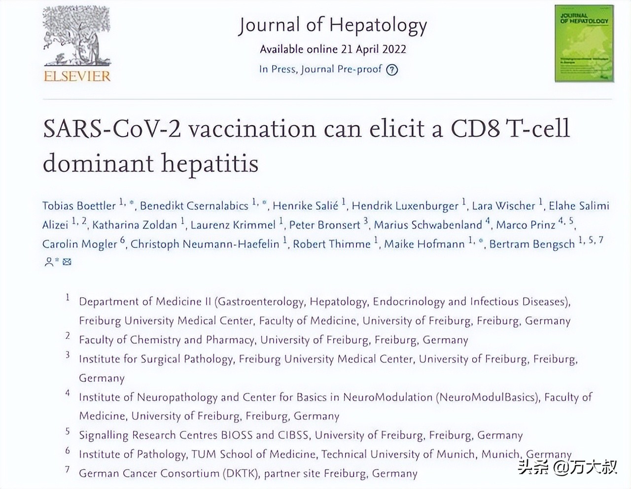 德国儿童肝炎,欧美爆发肝炎