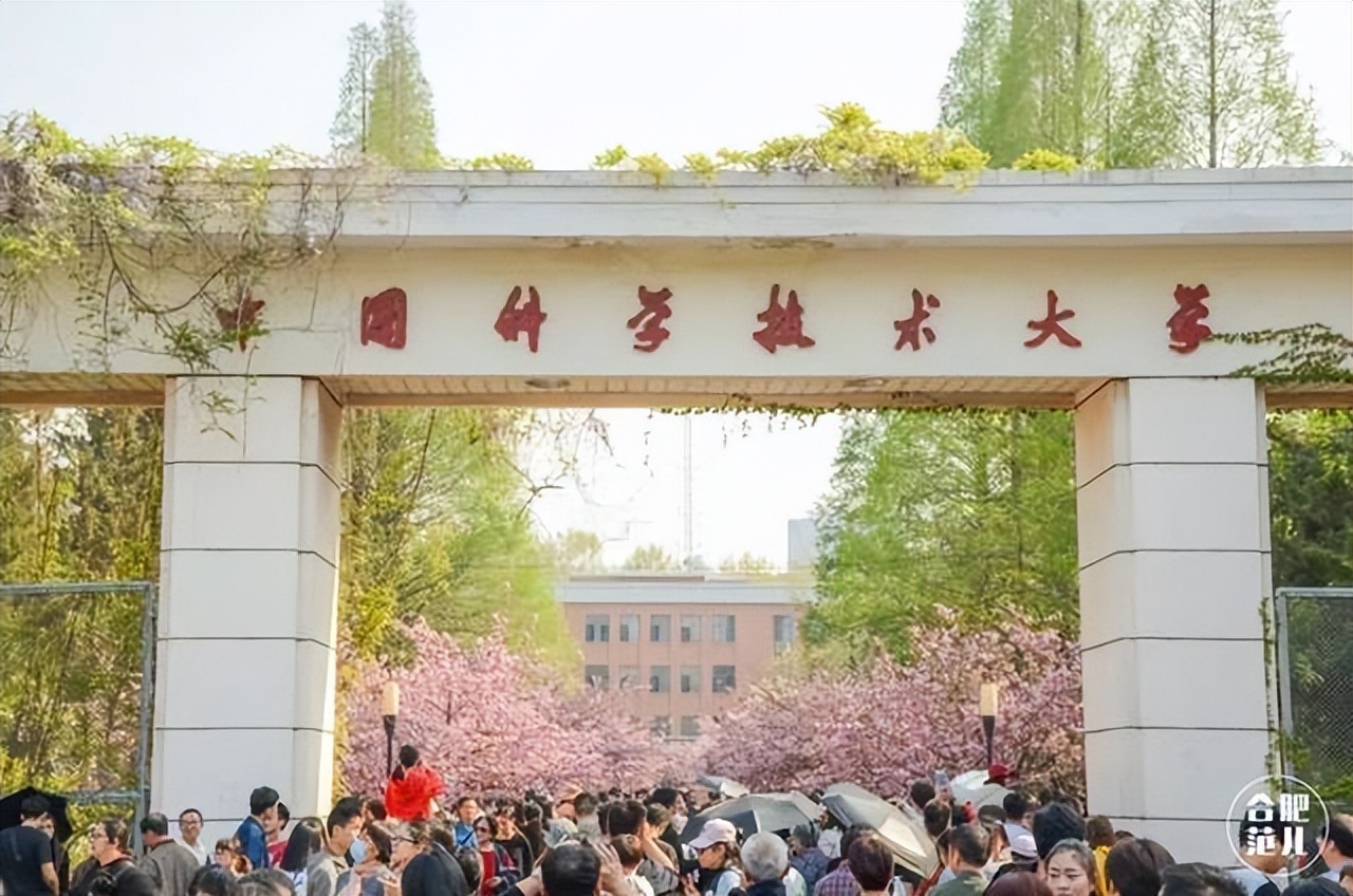 自然指数中国大学排名2019,全球自然指数大学排名中国
