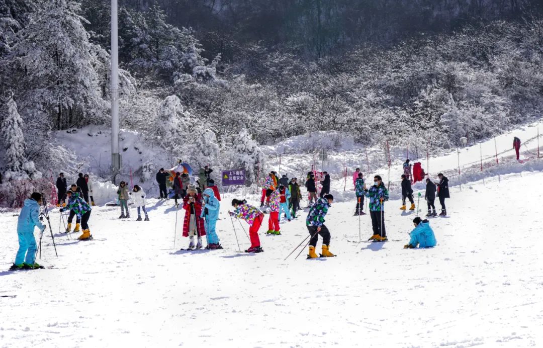 到咸宁看国宝过大年,离家45年的国宝回湖北咸宁过年