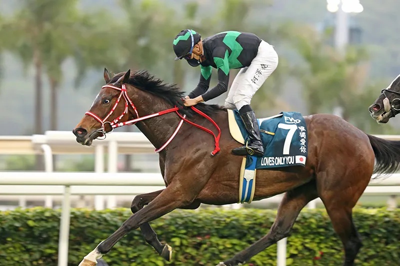 香港马王冠军慈善赛,香港马匹比赛最高奖金