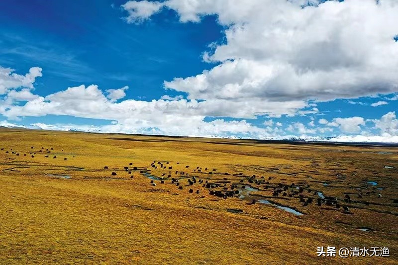 西藏那曲最荒凉的地方,请恕我直言