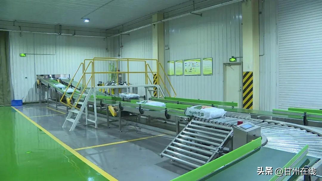 甘州区各制种企业开足马力忙生产