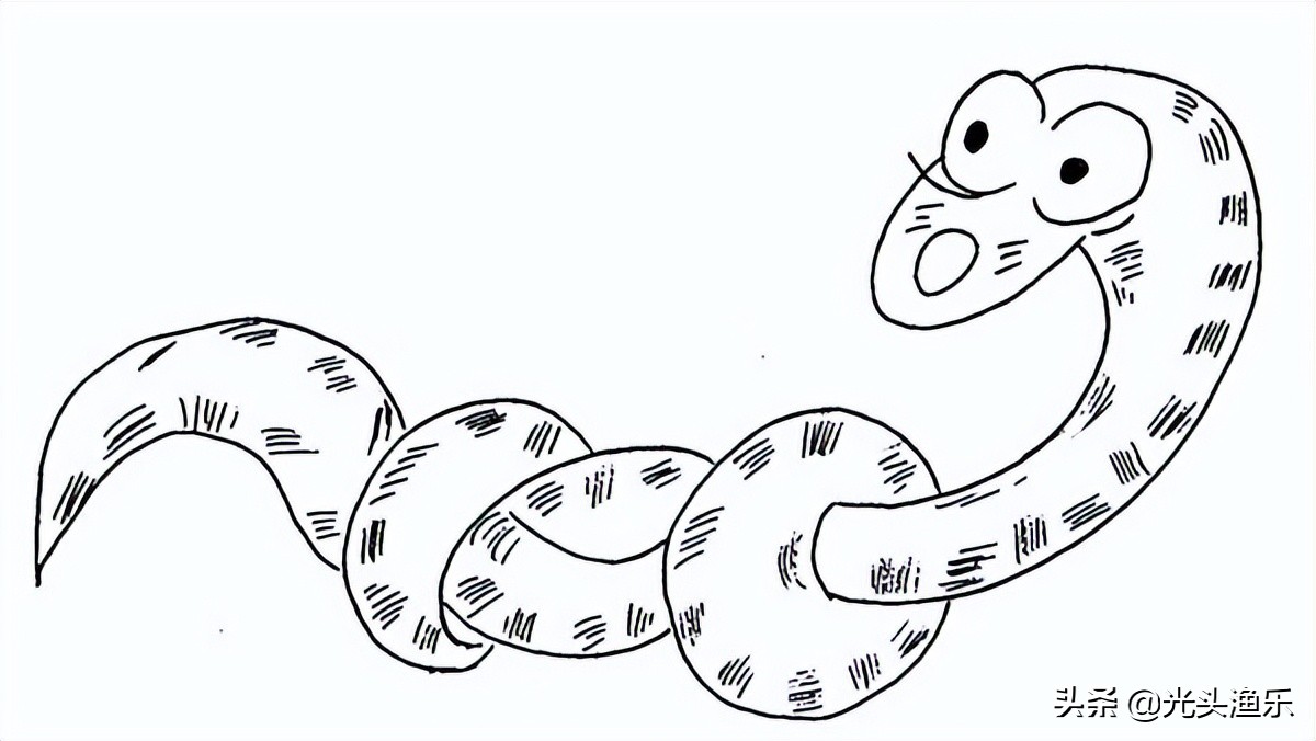 蚺蛇和巨蟒谁大,为什么蟒蛇有的又叫蚺