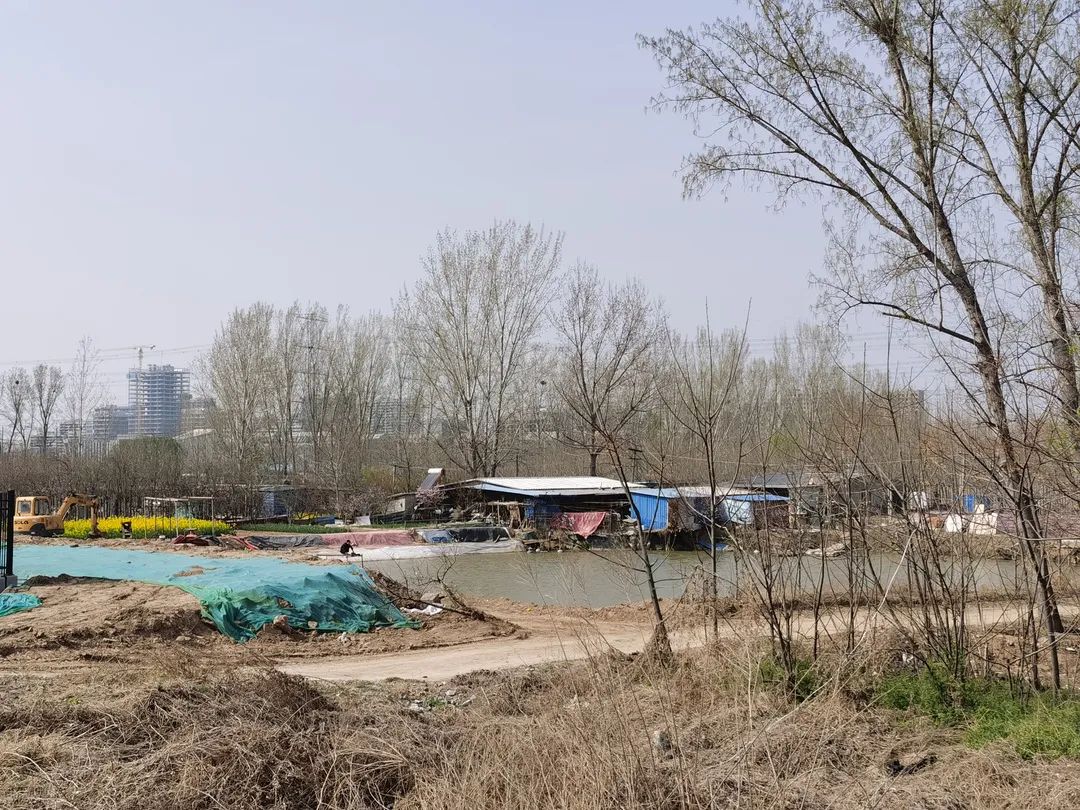 郑州的宇宙中心是哪个区域,宇宙中心河南郑州