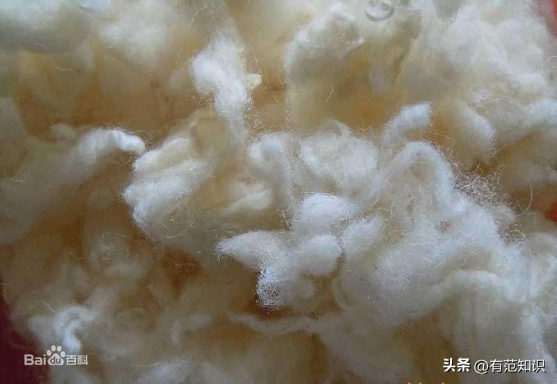 1840年奥斯曼帝国,近代英国对外贸易的影响